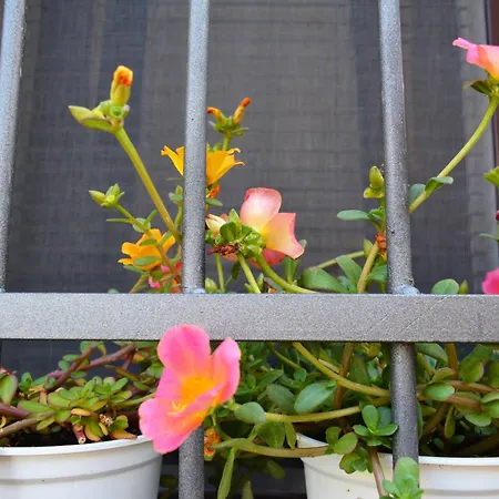 Lägenhet Casarancio Monolocale *