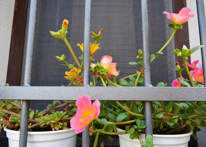 Appartamento Casarancio Monolocale *